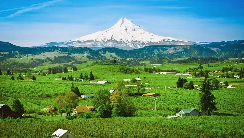 Sunny view of snow capped Mt Hood Valley At Hood River, Oregon.