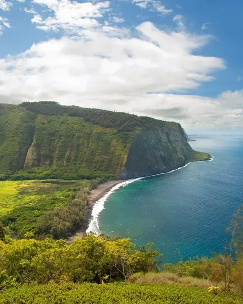 Representing Hawaii is a view of a lush green cliff and beach.