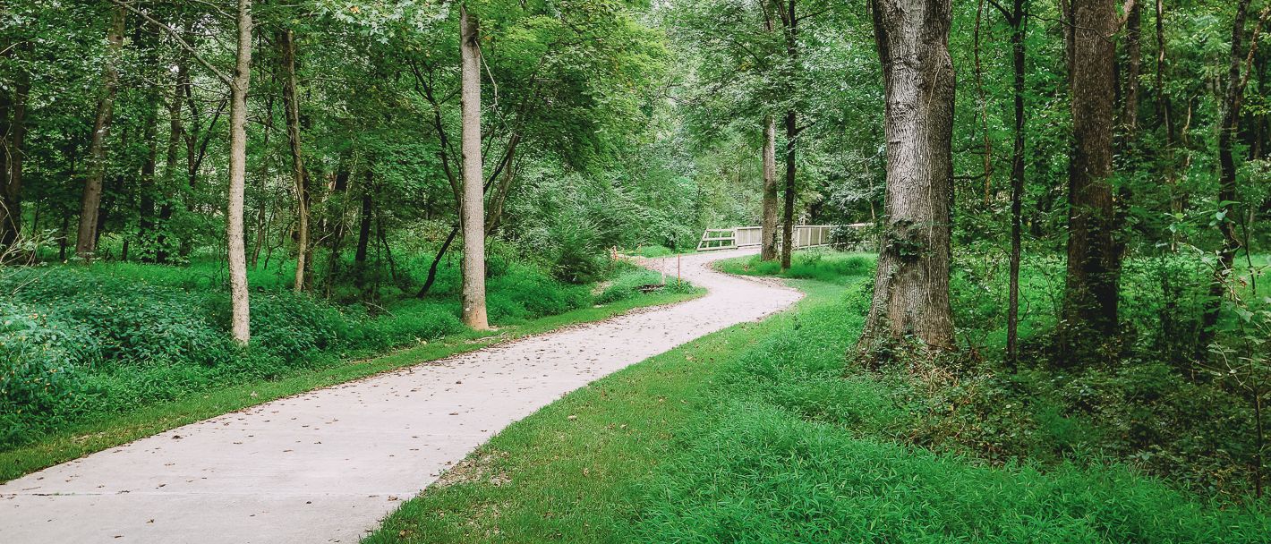 Hiking trail on a sunny day in the forest in Greenville, South Carolina.