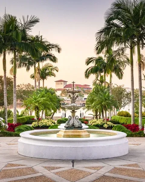 A fountain surrounded by palm trees at dusk.