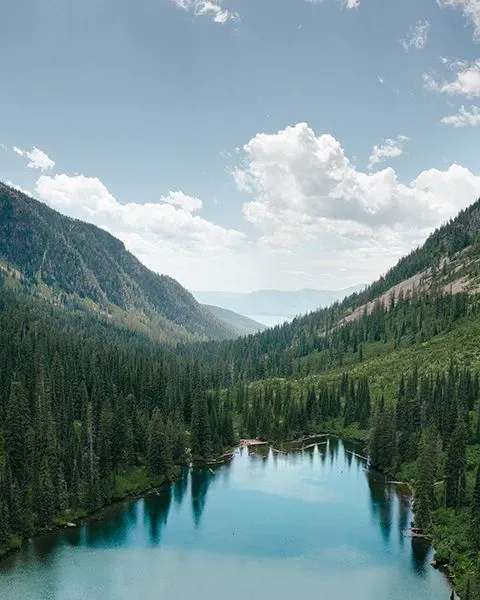 Representing Montana is view of a river surrounded by green trees.