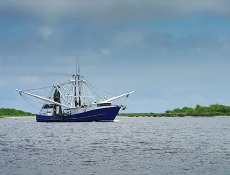 A boat in Louisiana water