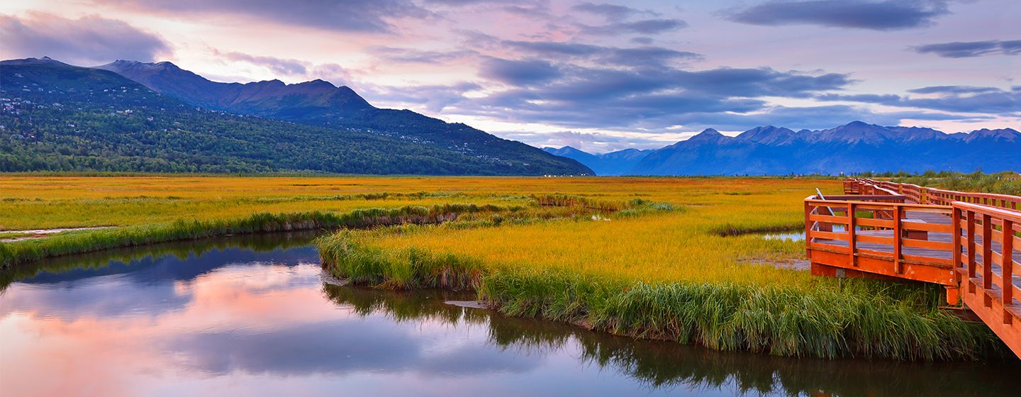 A river and grassy meadows in Anchorage, Alaska.