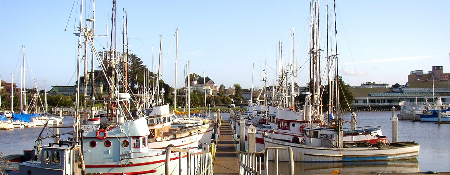 Boats at the pier in Eureka, California.