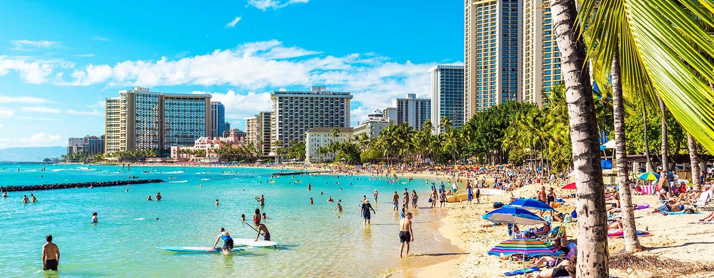 Busy sandy and sunny beach with palm trees and beach goers swimming in  Honolulu, Hawai'i.