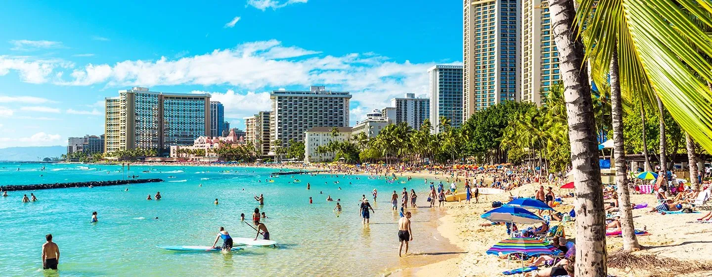 Busy sandy and sunny beach with palm trees and beach goers swimming in  Honolulu, Hawai'i.