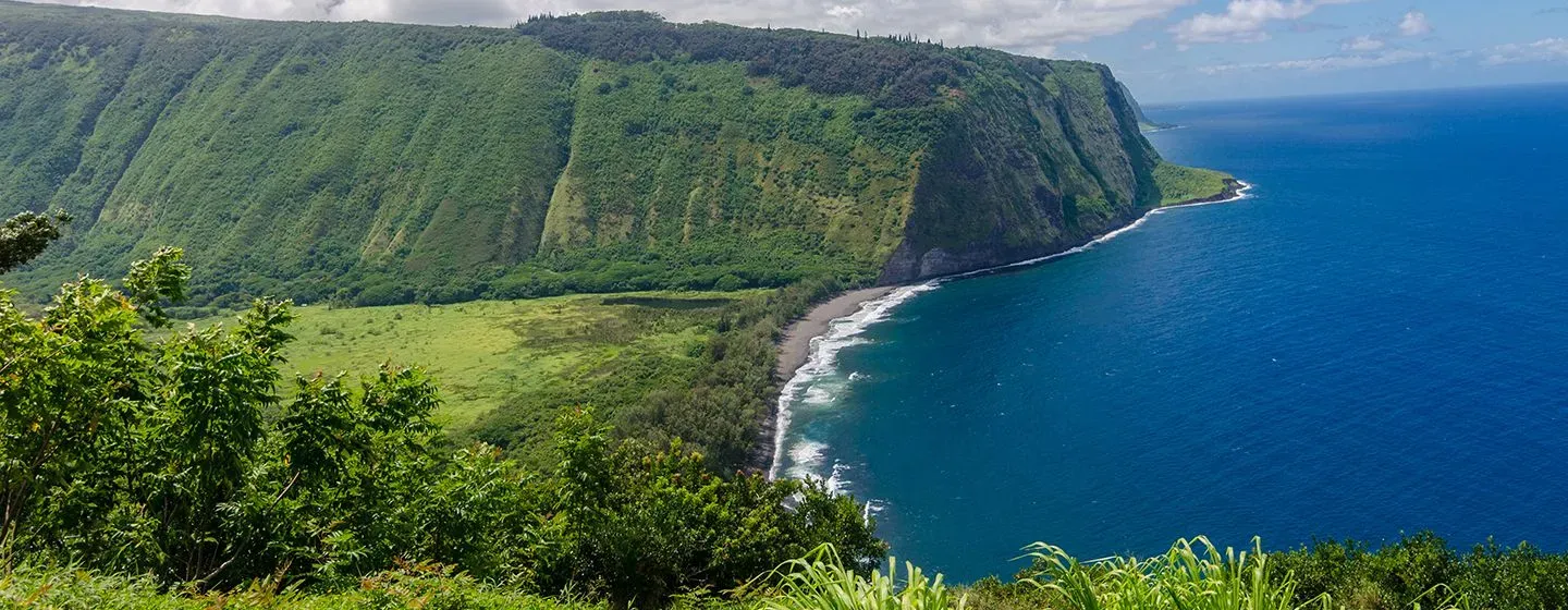 Aerial view of a green mountain with tropical plants throughout overlooking the ocean. 