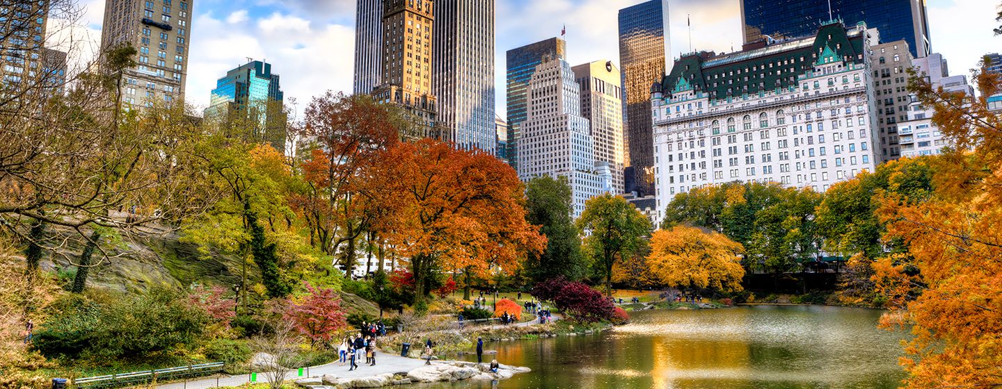 Central Park in New York City.