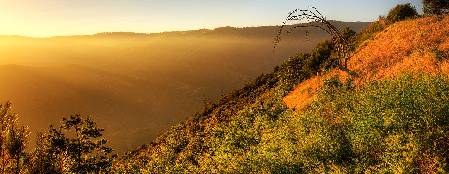 A grassy cliff at sunset in Orange, California, aerial view. 