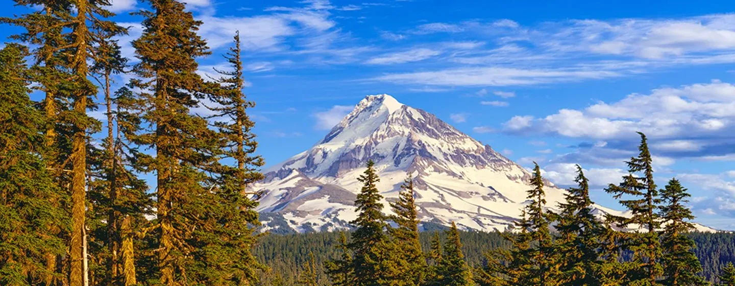 Mt. Hood in Oregon.