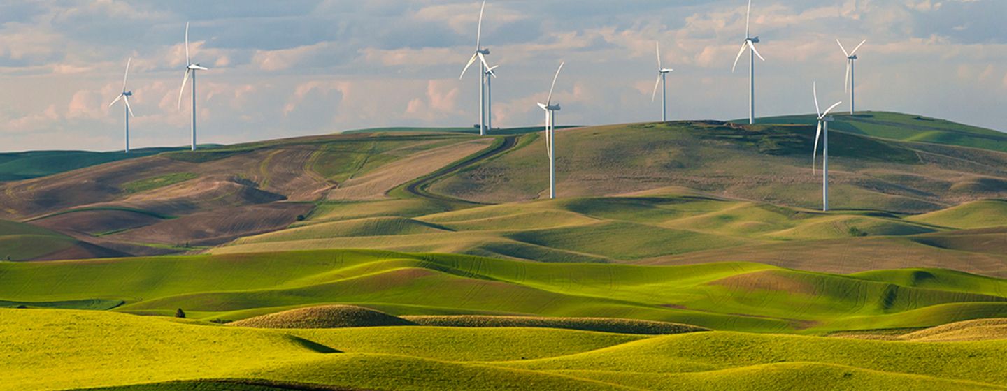 Wind machines on a grassy meadows and hills in Richland, Washington.