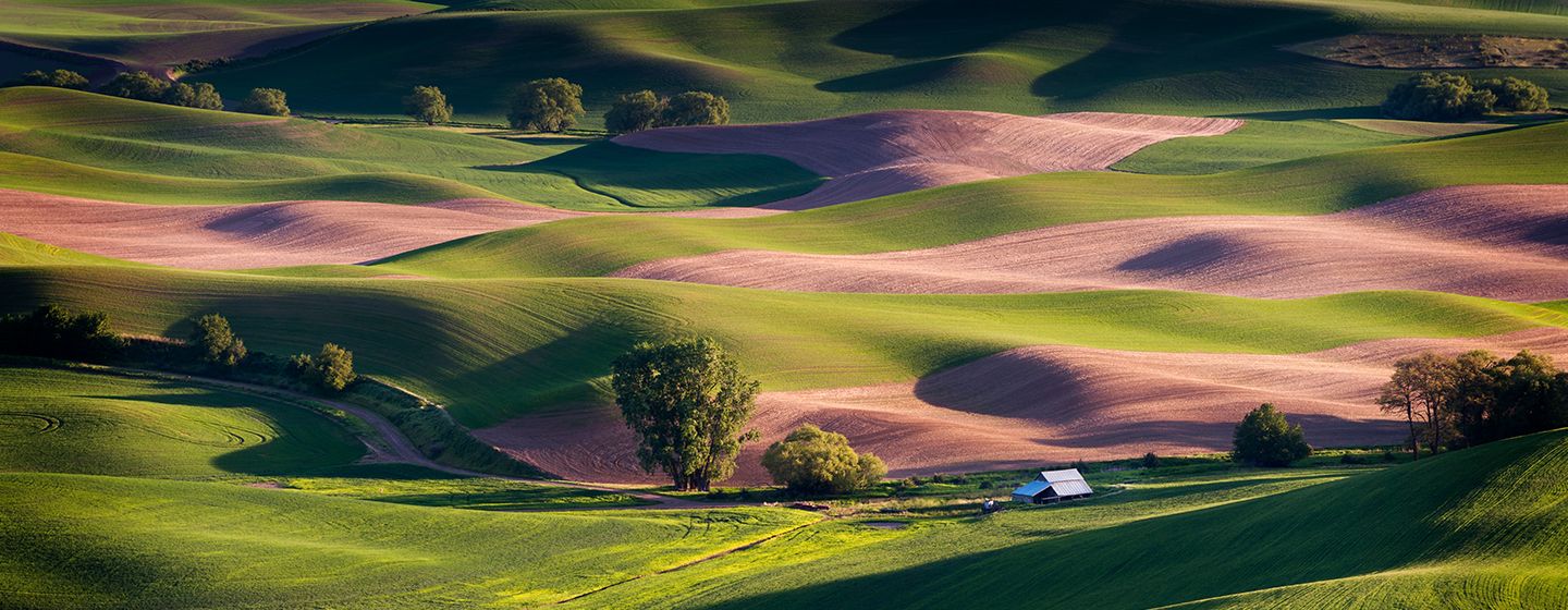 Grassy meadow and hills with bright red sand pockets throughout in Walla Walla, Washington.