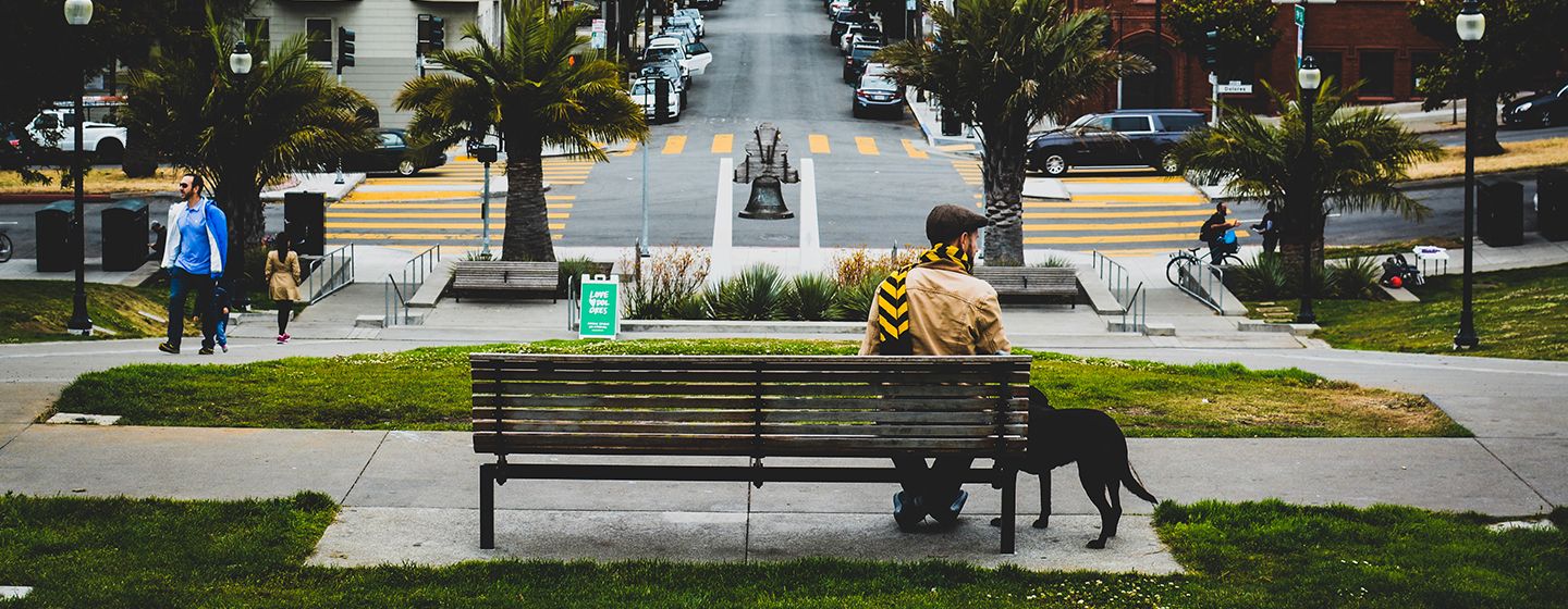 Man at a park bench facing away with his black dog in a San Francisco park in California.