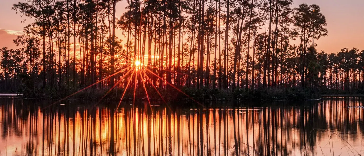 Sunset in the everglades of Florida, where PS&D recruits physicians.