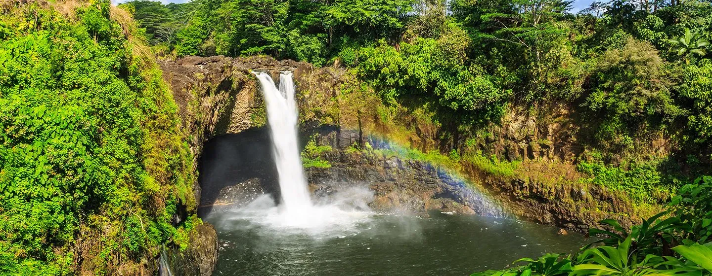 Waterfall surrounded by tropical trees in Hawai'i.