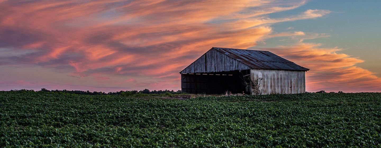 A shed at sunset and grassy meadow in the state of Indiana.