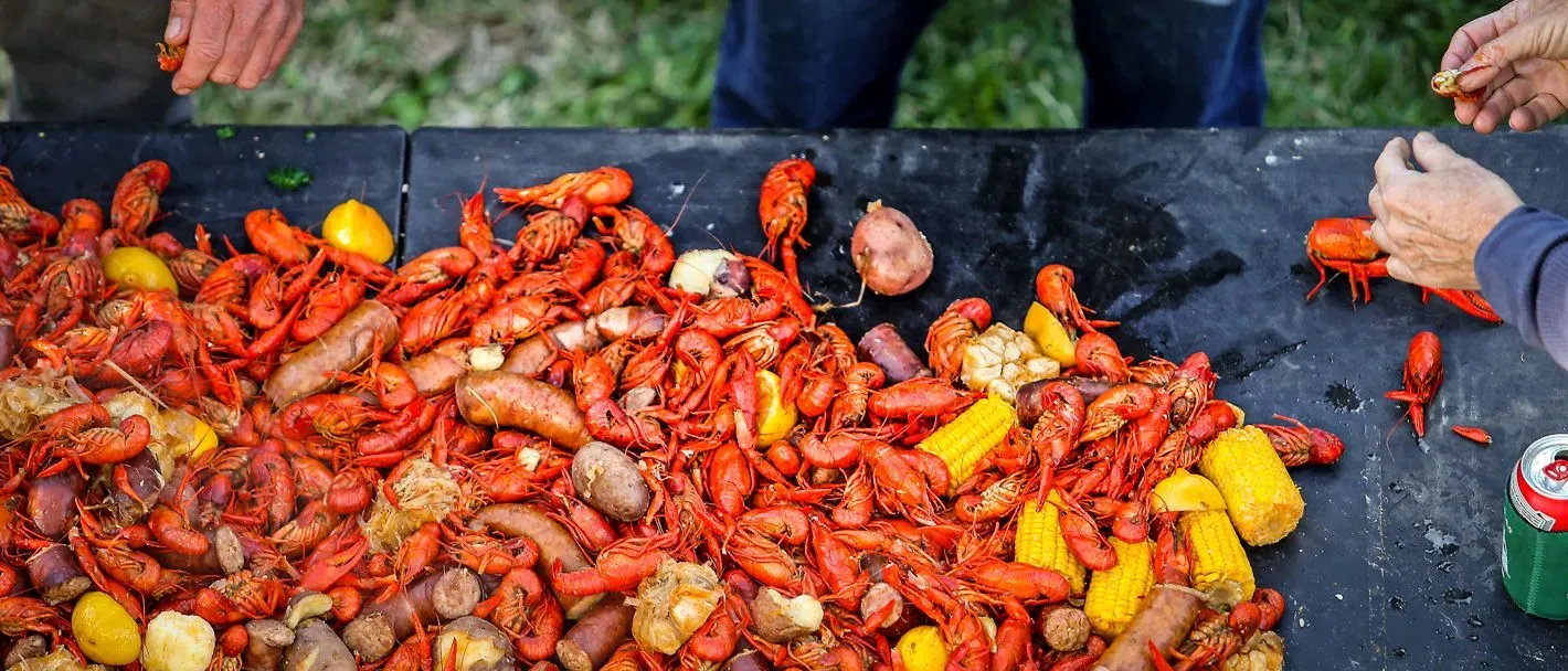 Outdoor table covered with boiled crawfish, corn, potatoes, and sausage, with people reaching in to eat