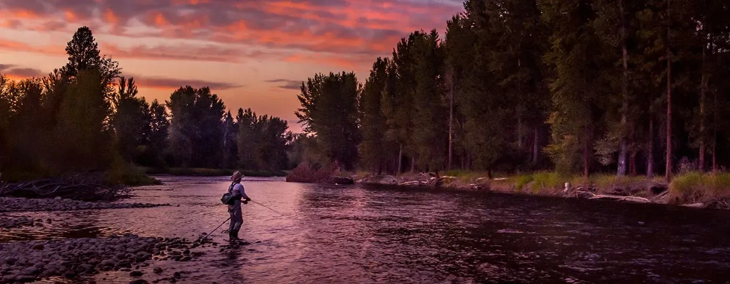 A fisherman at dusk in a river with a fishing pole surrounded by trees.