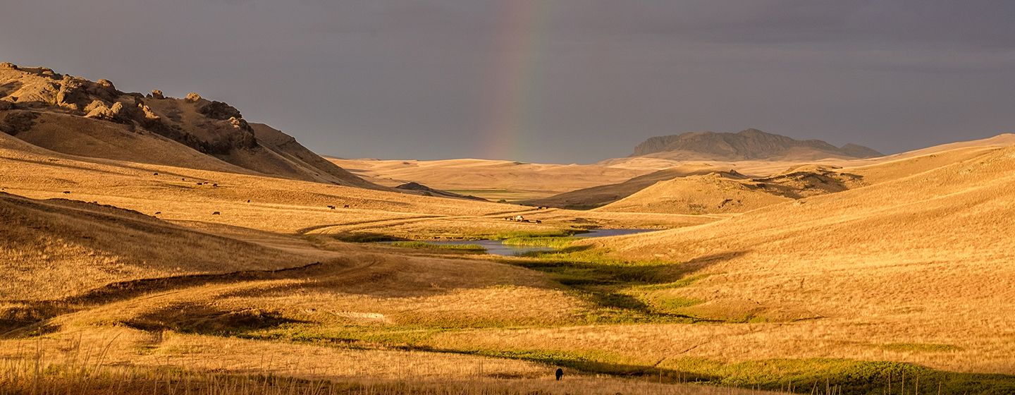 Natural yellow dry grass field with a rainbow in the background in the state of Montana.