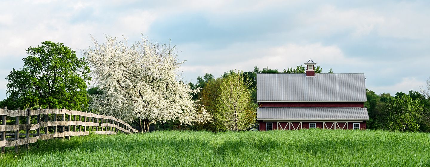 A meadow with a red barn in New York.