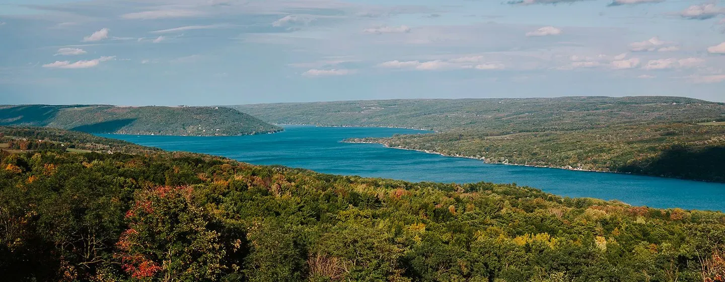 A river surrounded by a forest in New York.