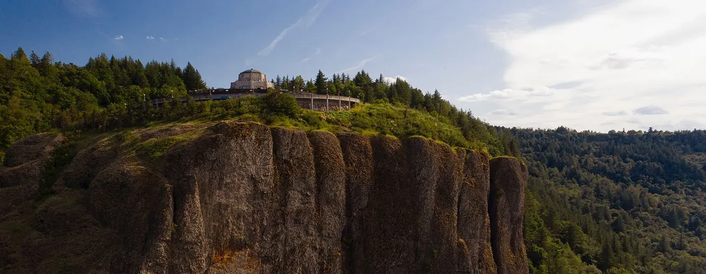 A forest on a cliff in Oregon.