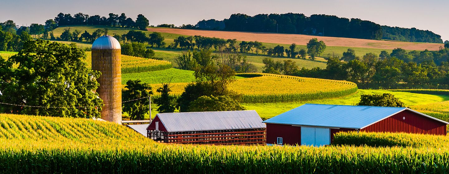 Farm with two red barns in Pennsylvania on grassy meadows.