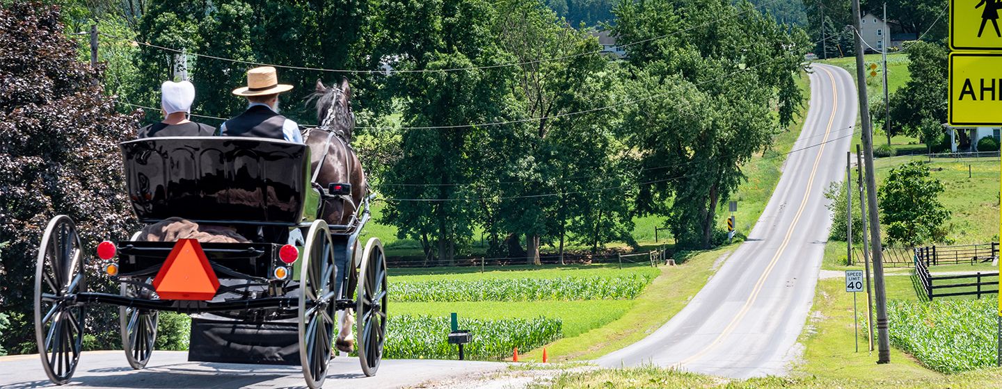 Amish man and woman facing away on a horse carriage in Pennsylvania.