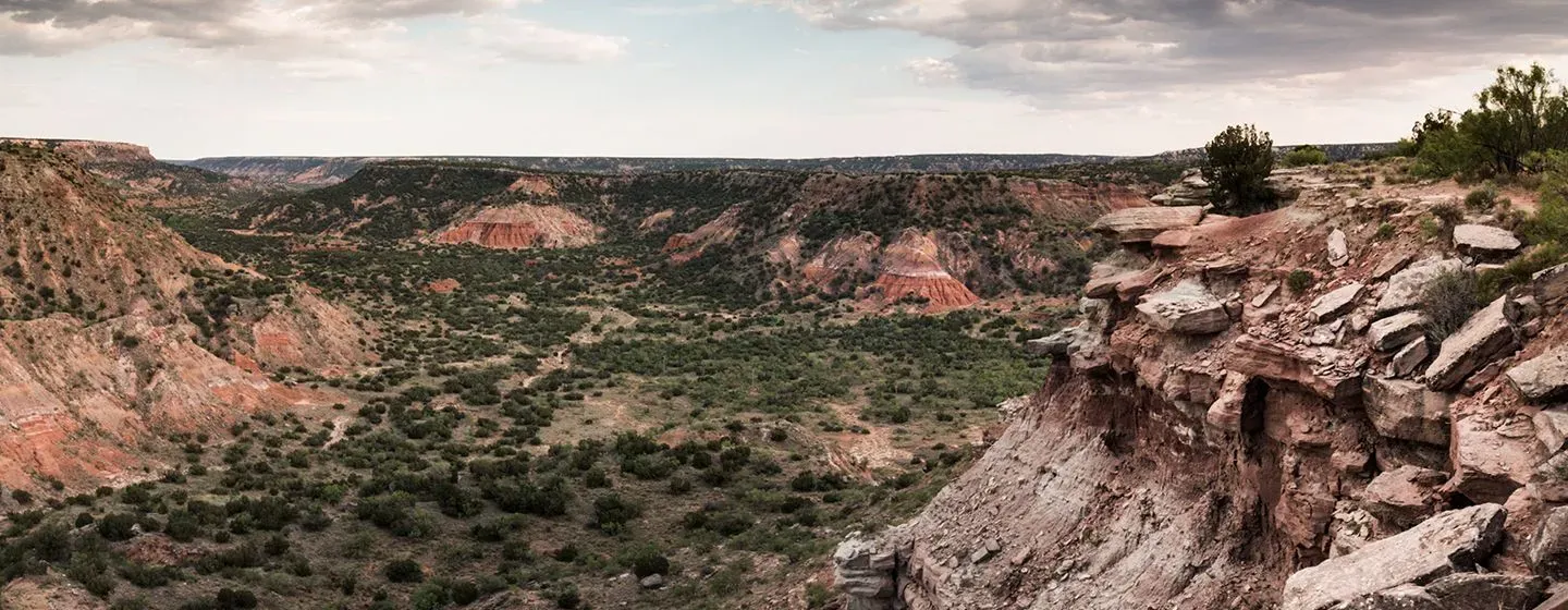 Desert canyon with local plants in Texas.