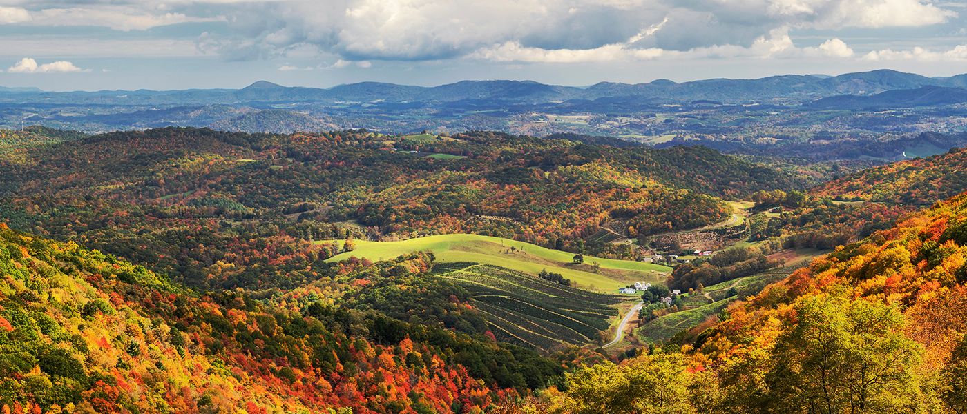 Autumn at Grayson Highlands State Park in Virginia, where PS&D is hiring physicians.