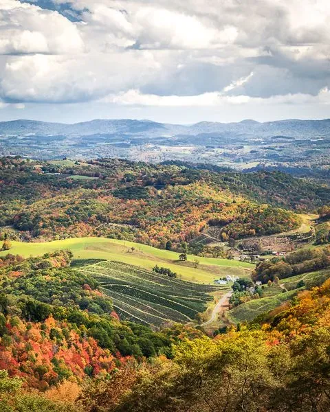 A forest valley in the fall in Virginia where PS&D hires physicians.