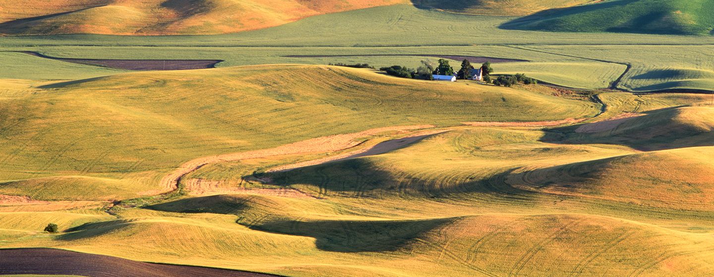 Grassy meadow and hills at sunset in Washington.