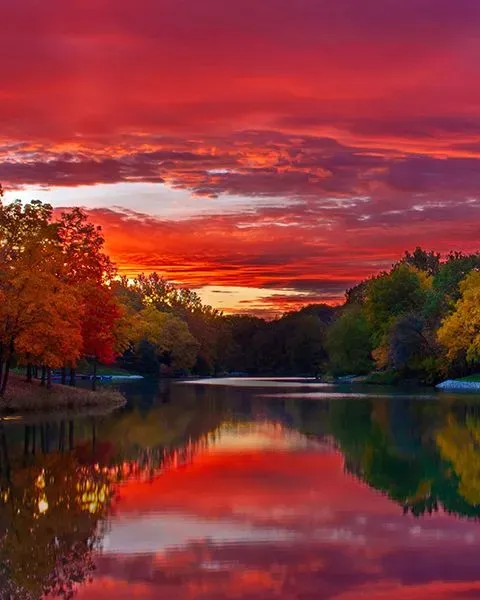 Calm lake at sunset surrounded by trees in Illinois.