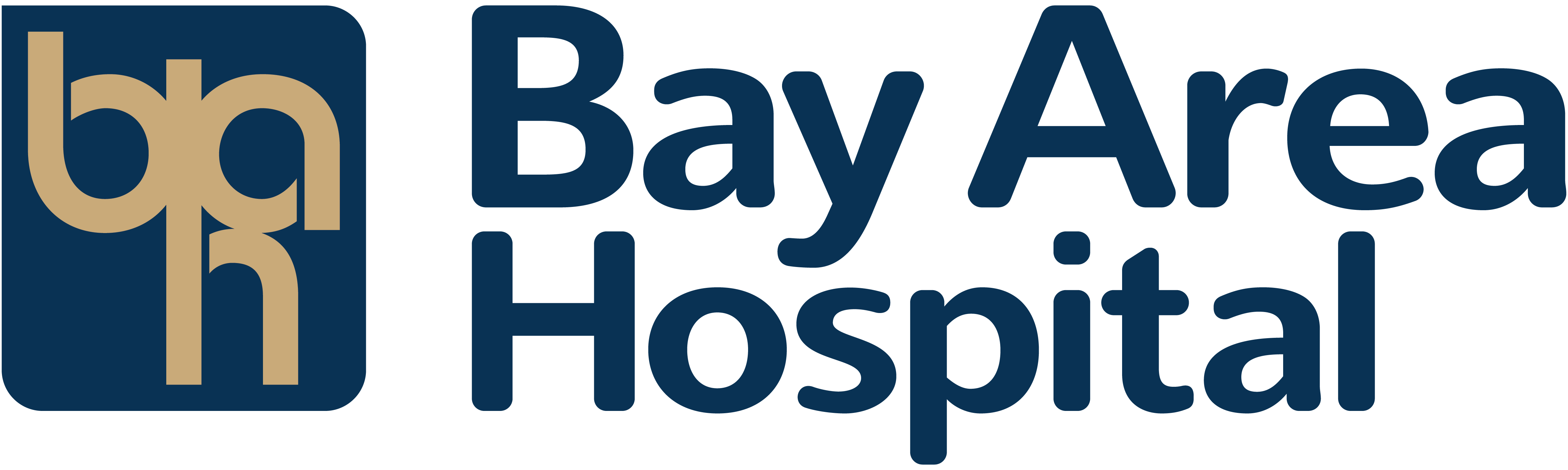 Bay Area Hospital logo.